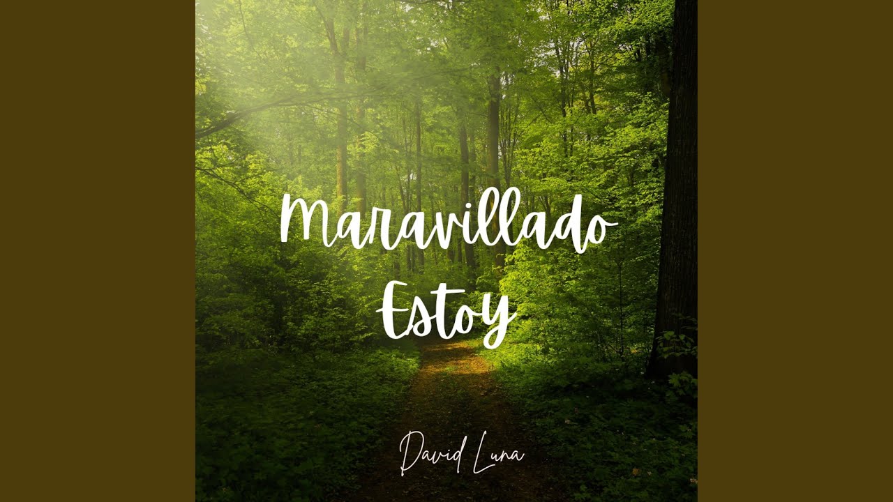 MARAVILLADO ESTOY