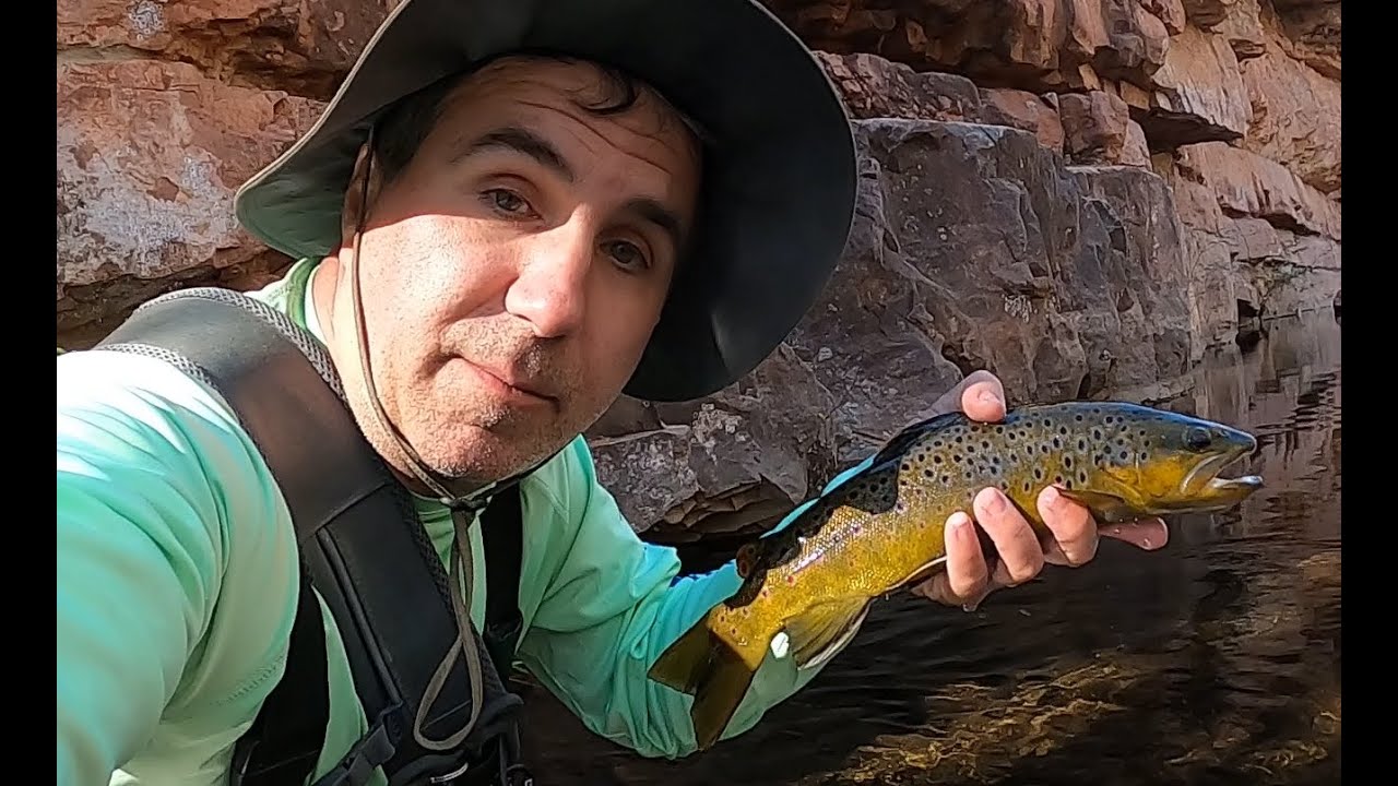 Fly Fishing Oak Creek in Sedona, AZ