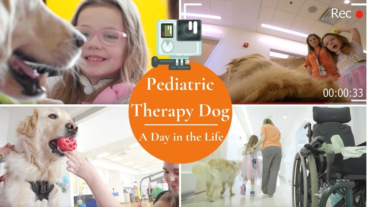 Our Therapy Dog | A day in the life through the eyes of Beck