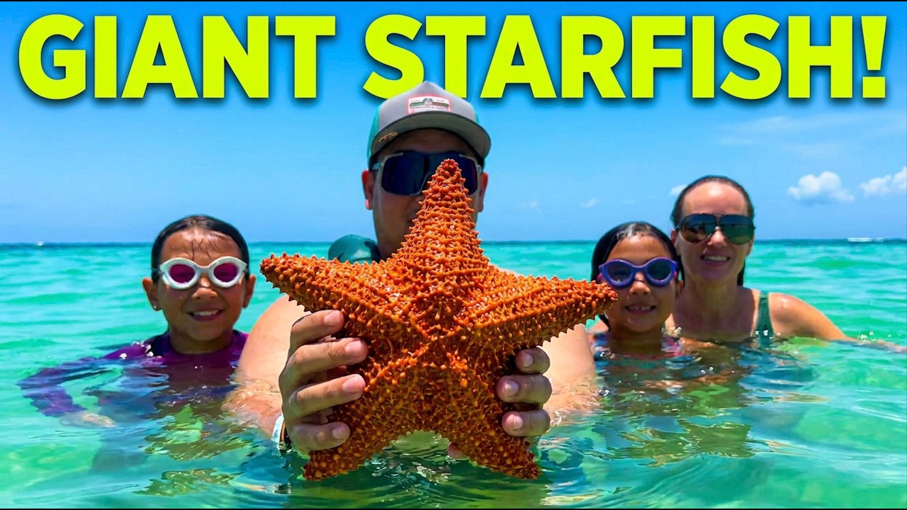 july 14 2025 cancun