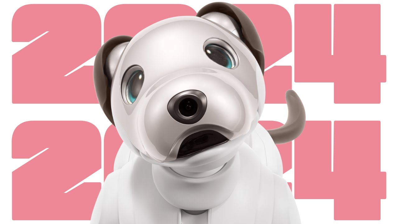 Aibo Orlando 2024 (The Supercut)