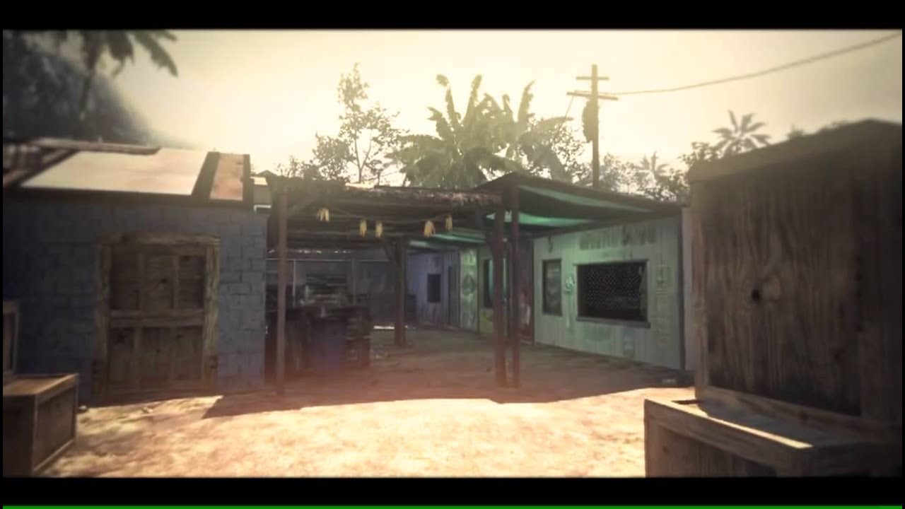 HCFF_CoulDzi Final MW3 Montage