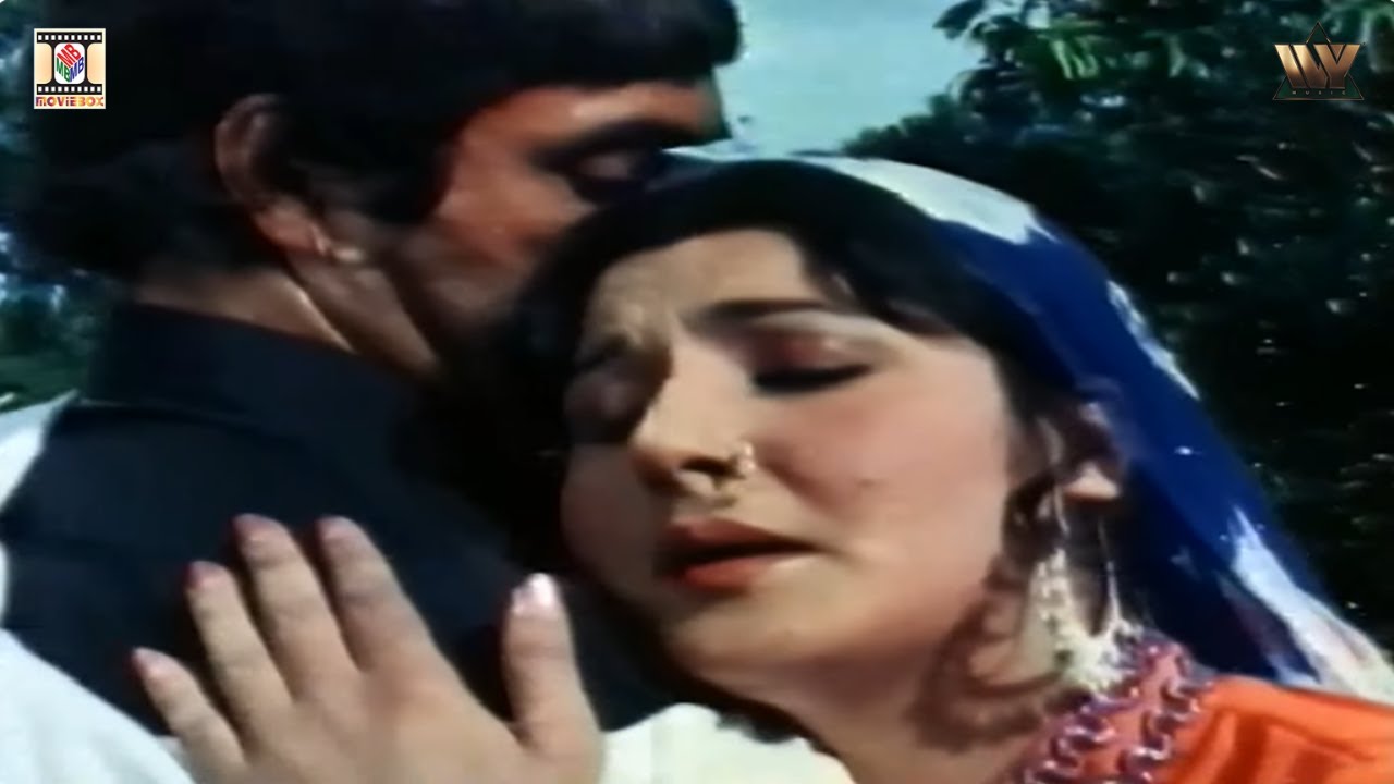 We Jaggeya Teri Akh | Sultan Rahi Popular Song | Noor Jehan | Film WEHSHI GUJJAR 1979