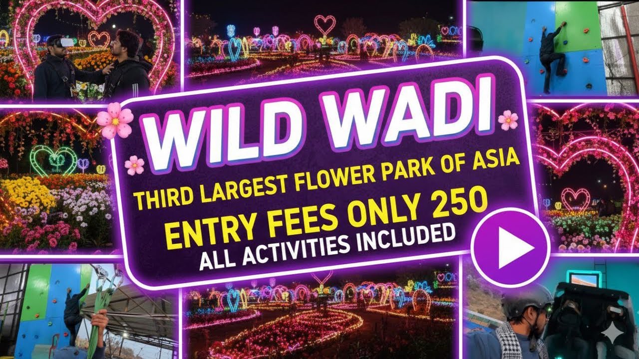 Wild Wadi Water & Flower Park for ONLY ₹250! (Everything Included) 