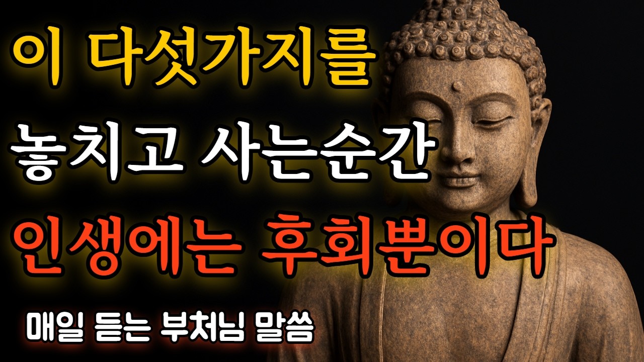 이 다섯가지를 놓치고 사는순간 인생에는 후회뿐입니다 부처님말씀|인생의 소중한 것들 부처님이 전한 마음의 깨달음 이야기|행복부처님말씀|석가모니|ASMR|법정|법륜|조언|즉문즉설