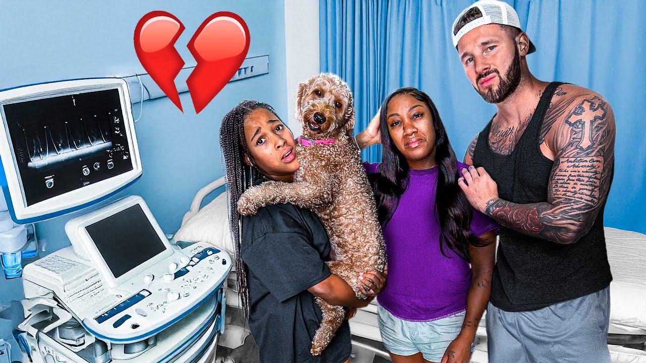 We LOST the Babies.. RIP 🪦💔