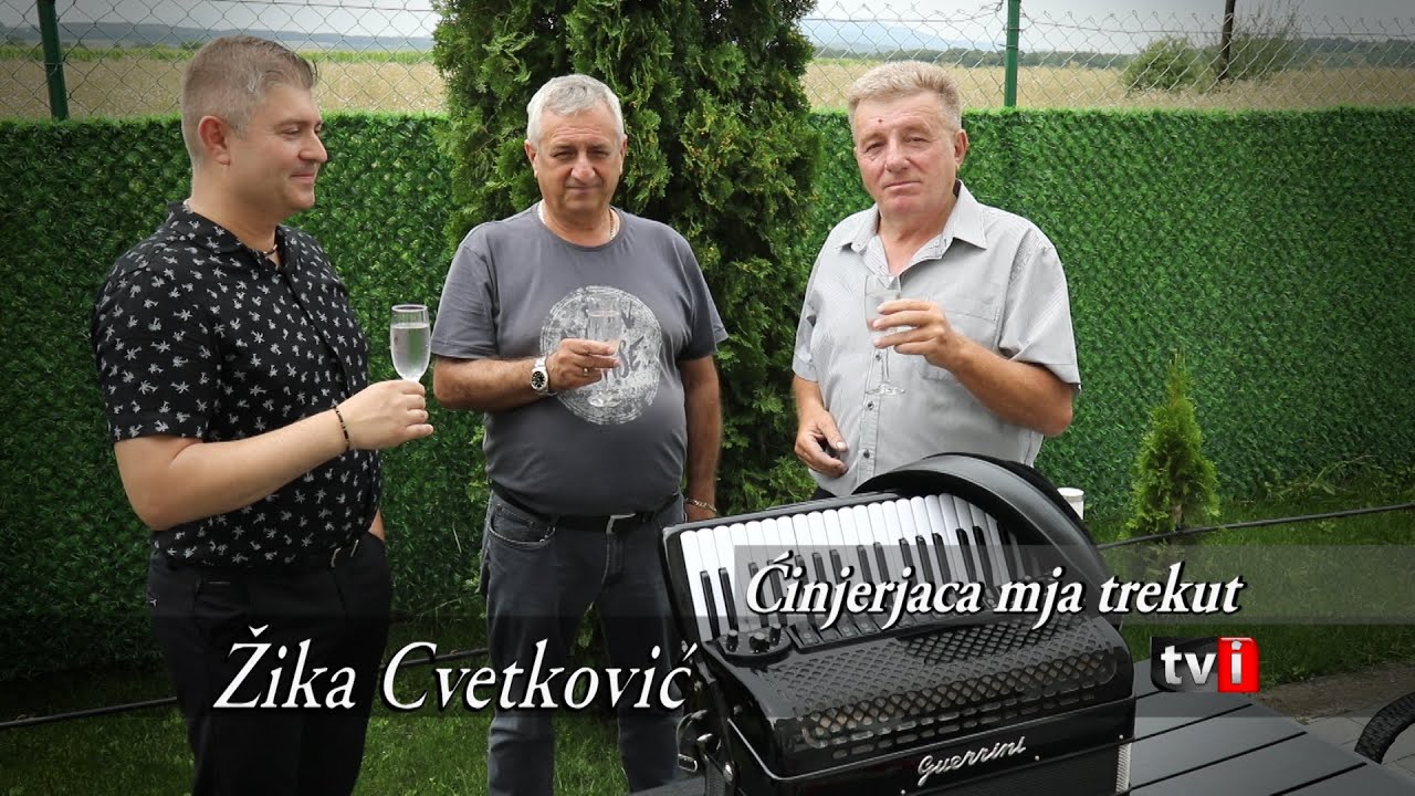 Žika Cvetković - Ćinjerjaca mja trekut