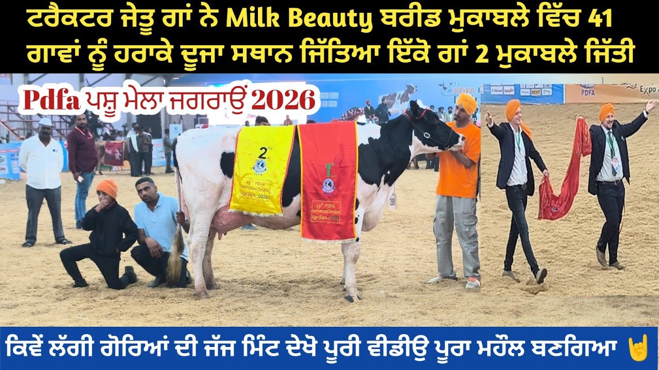 Pdfa ਜਗਰਾਉਂ ਟਰੈਕਟਰ ਜੇਤੂ ਗਾਂ ਨੇ milk Beauty ਮੁਕਾਬਲੇ ਵਿੱਚ ਦੂਜਾ ਸਥਾਨ ਹਾਸਿਲ ਕੀਤਾ। ਦੇਖੋ ਪਹਿਲੇ ਤੇ ਕਿਹੜੀ।