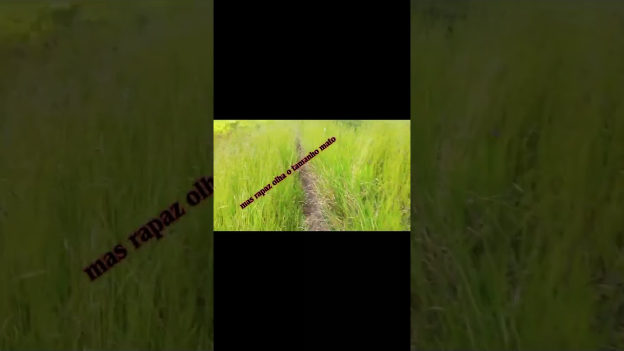 Indo pescar com nemzinho e meu irmão 