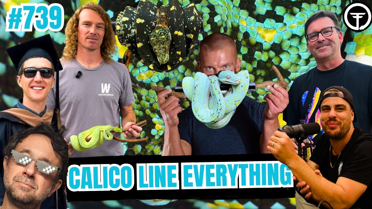 The ELITE Calico Line GTP Deep Dive Episode | All In The Tree Tuesday (Live)
