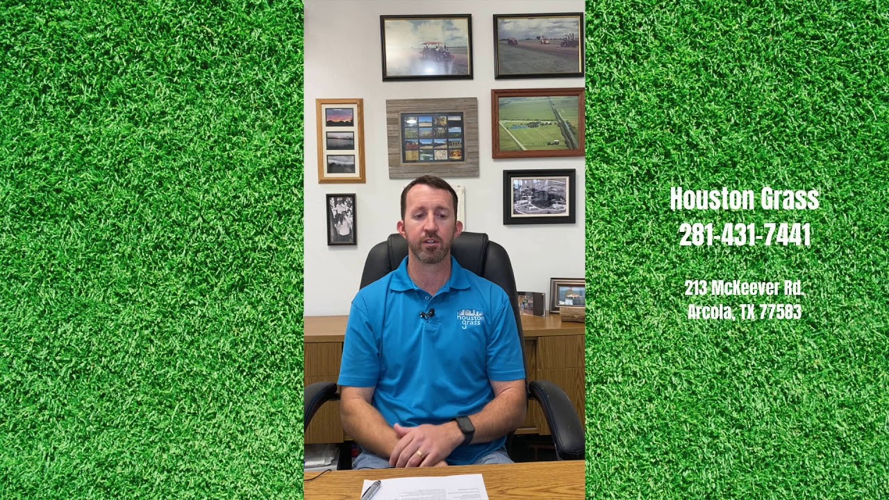 Is Zoysia Grass a Good Type of Grass for Houston - Pearland Sugar Land Missouri City