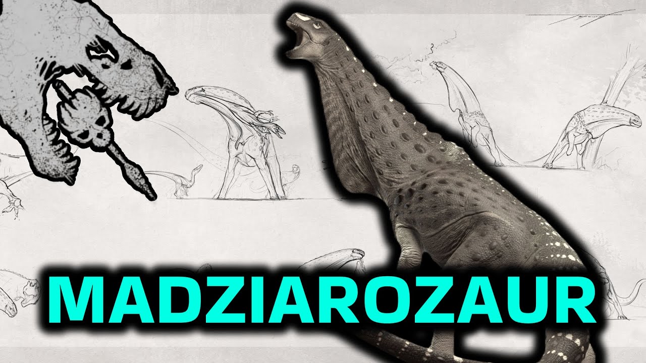 MADZIAROZAUR W THE ISLE EVRIMA.