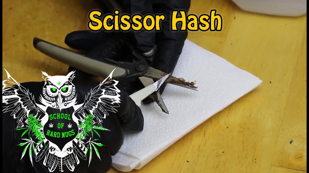 Scissor Hash | How to Clean your Trimming Scissors and Make Scissor Hash | What is Scissor Hash