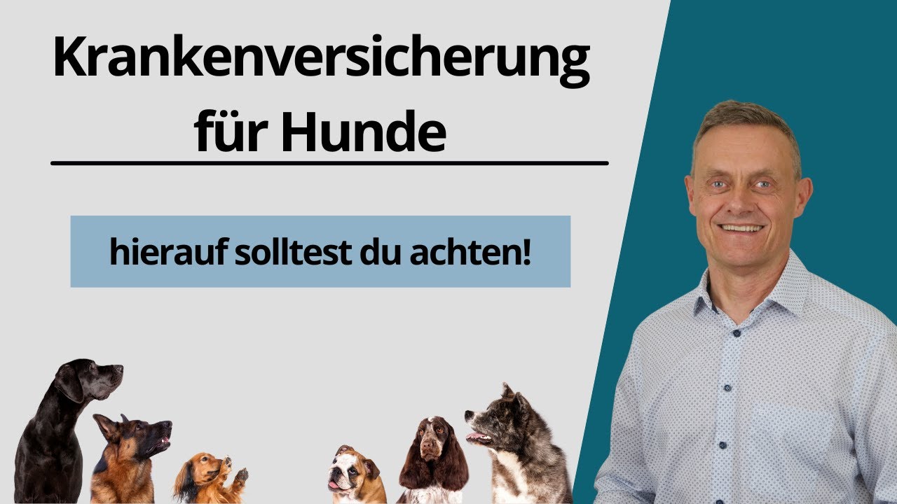 Hundekrankenversicherung - Vollschutz (Tierkrankenversicherung) - darauf solltest du achten