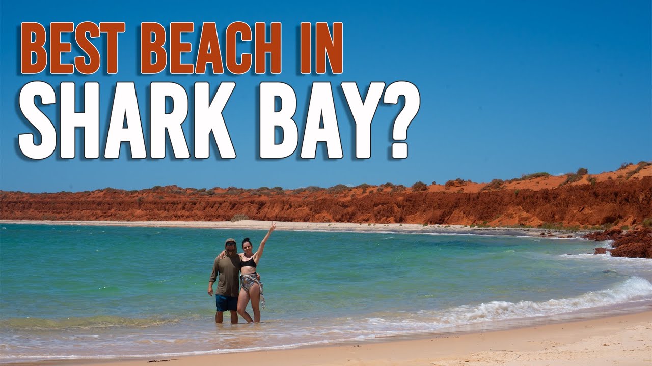 The FULL Shark Bay Experience | Francois Peron, Monkey Mia & More