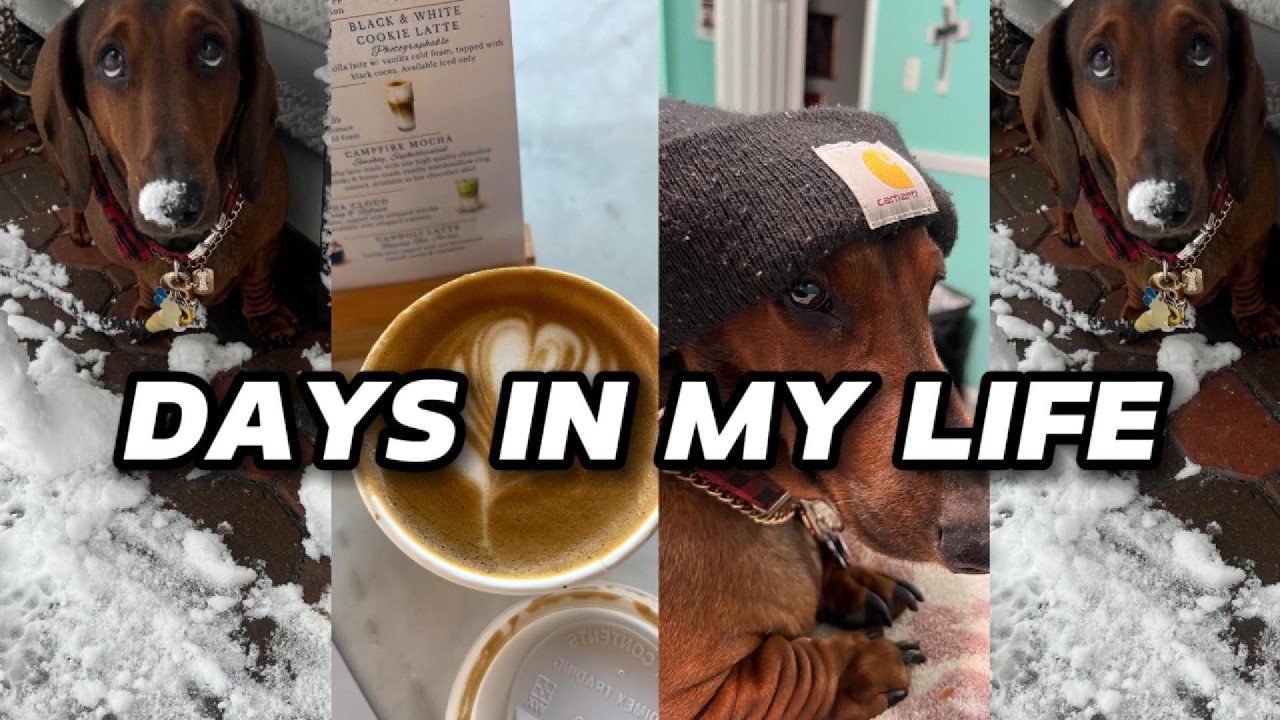 Days in my life  snow day, hair care routine, trying a new coffee place