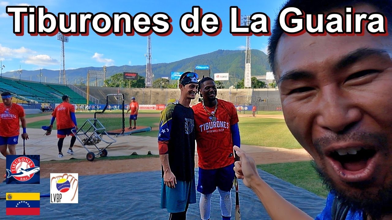 Visitamos Los Tiburones de La Guaira Venezuela | MLB史上初、両リーグで満票MVPの大谷翔平選手と同じ、 アクーニャJr.のベネズエラのプロ野球チーム