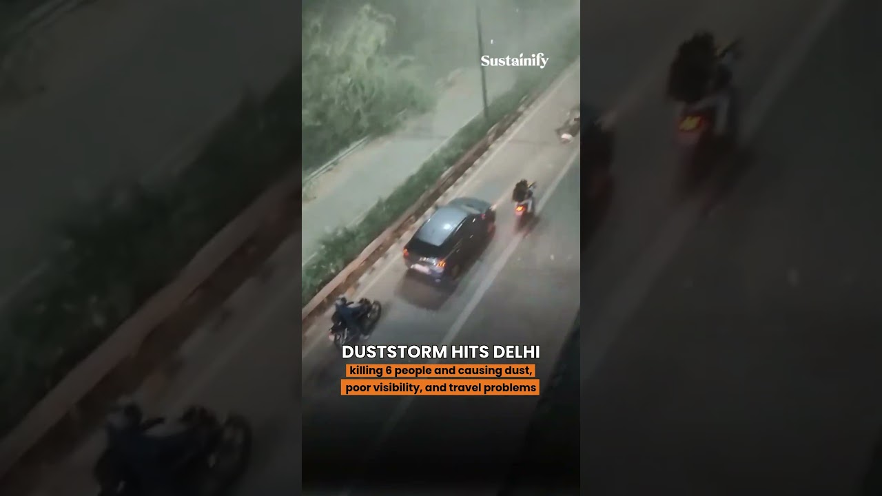 Deadly Sandstorm Hits Delhi | 6 Dead, City Chokes Under Dust Cloud | May 2025 Weather Crisis