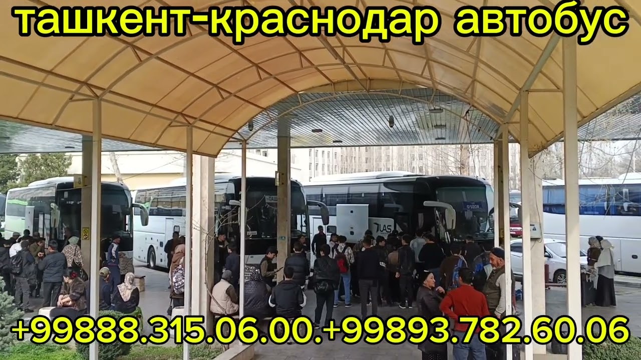 #тошкент #краснодар #автобус #волгоград #астрахань #ростов-на-дону #Мариуполь #Новороссийске #сочи #
