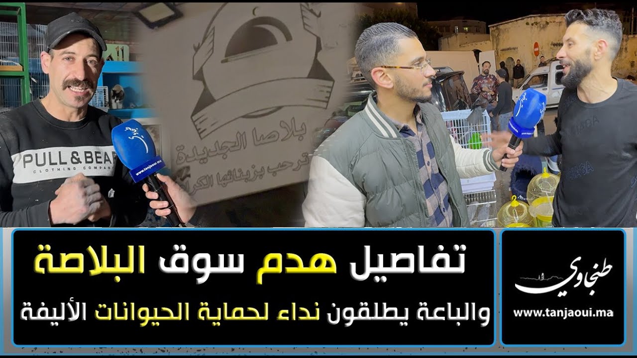 تفاصيل هدم سوق البلاصة والباعة يطلقون نداء لحماية وتبني الحيوانات الأليفة