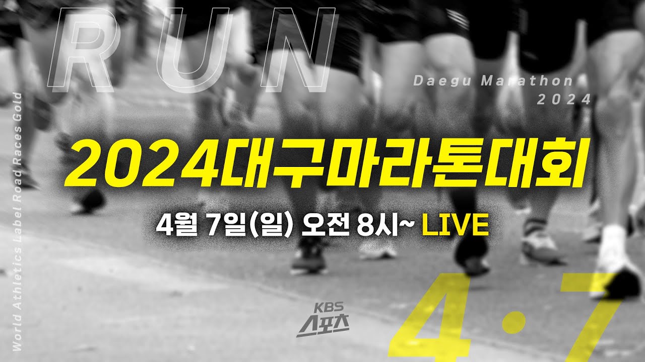 [풀영상] 2024대구마라톤대회[유료광고포함] #엘리트마라톤 #마스터즈마라톤 #마라톤 #골드라벨  #대구