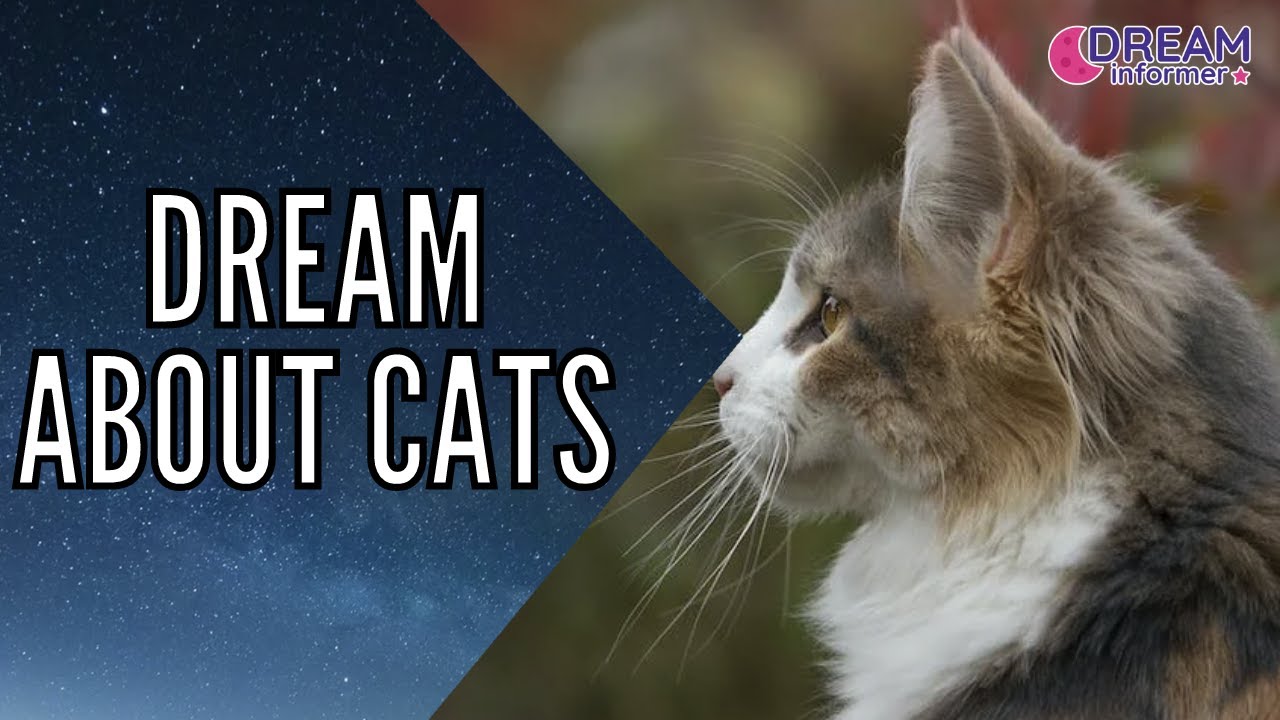 What Does it Mean When You Dream About Cats?