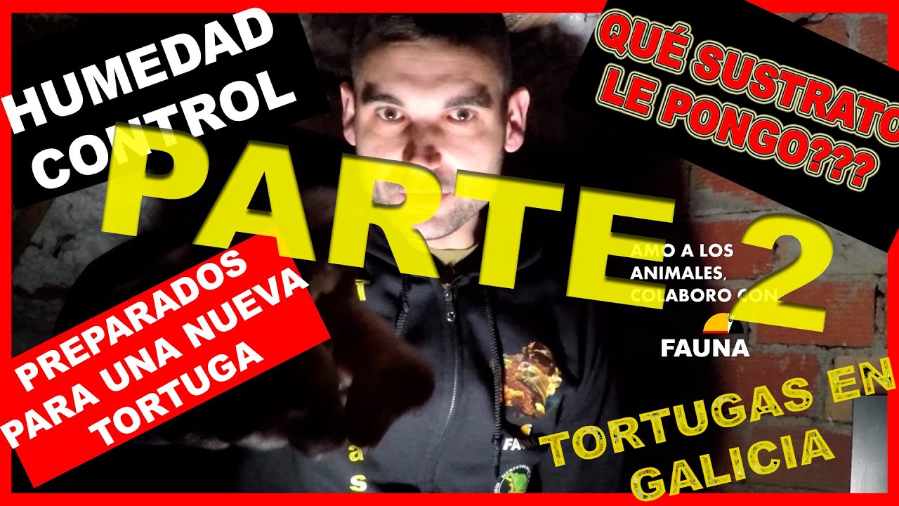EP03.2 SUSTRATO y HUMEDAD | Nueva tortuga!!🐢🐢🐢