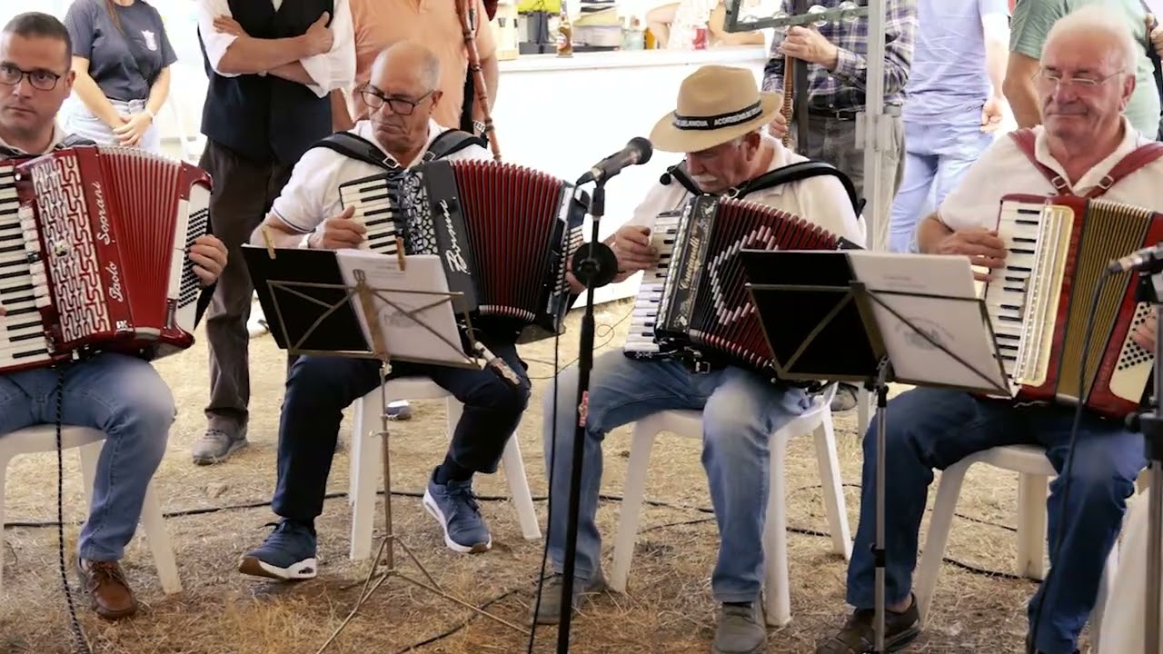 Resumo da XXVI Festa da malla tradicional de Doade (Lalín)