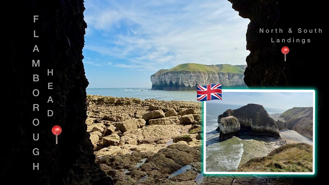 Sunshine at Flamborough Head | Seals 🦭 Coastal Views 🌊