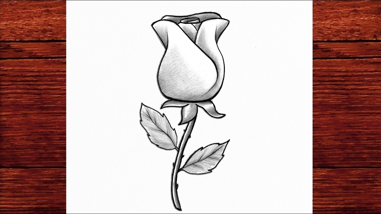 Easy Rose Pencil Drawing 🌹 How to Draw a Beautiful Rose for Beginners