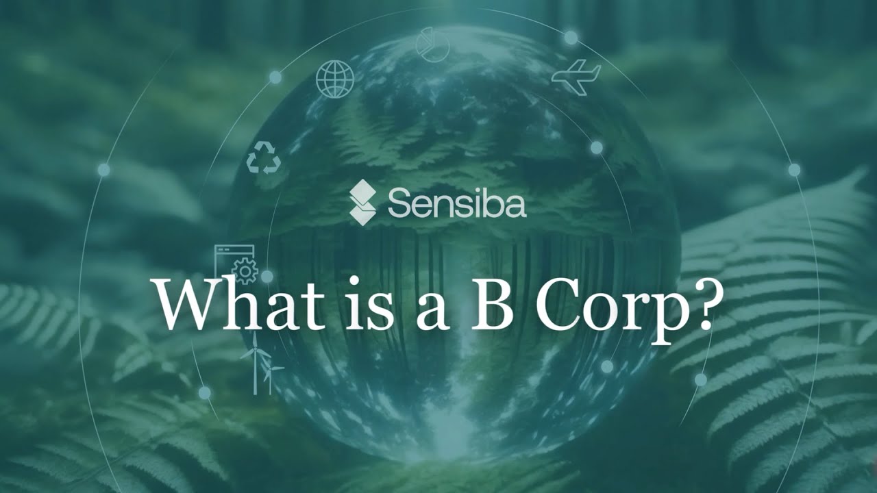 What is a B Corp?  |  Business as a Force for Good
