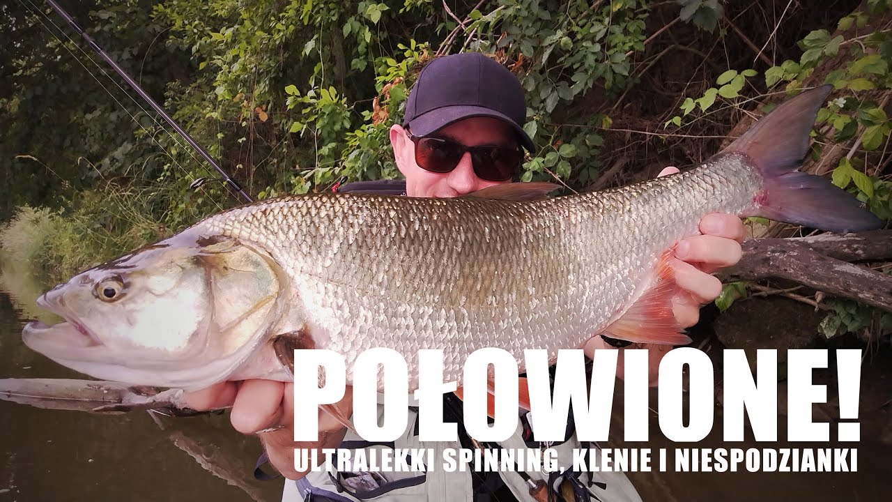 Połowione - ultralekki spinning, klenie i niespodzianki