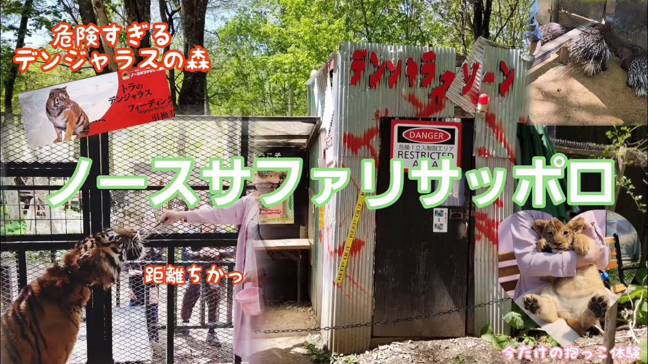 危険すぎる動物園【ノースサファリサッポロ】デンジャラスの森編　