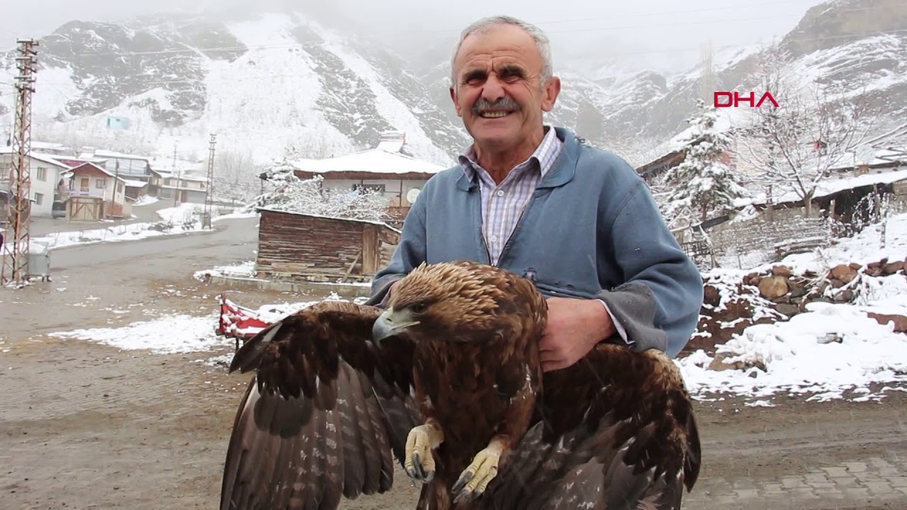 Erzurum'da uçamayan kartal insanlara sığındı