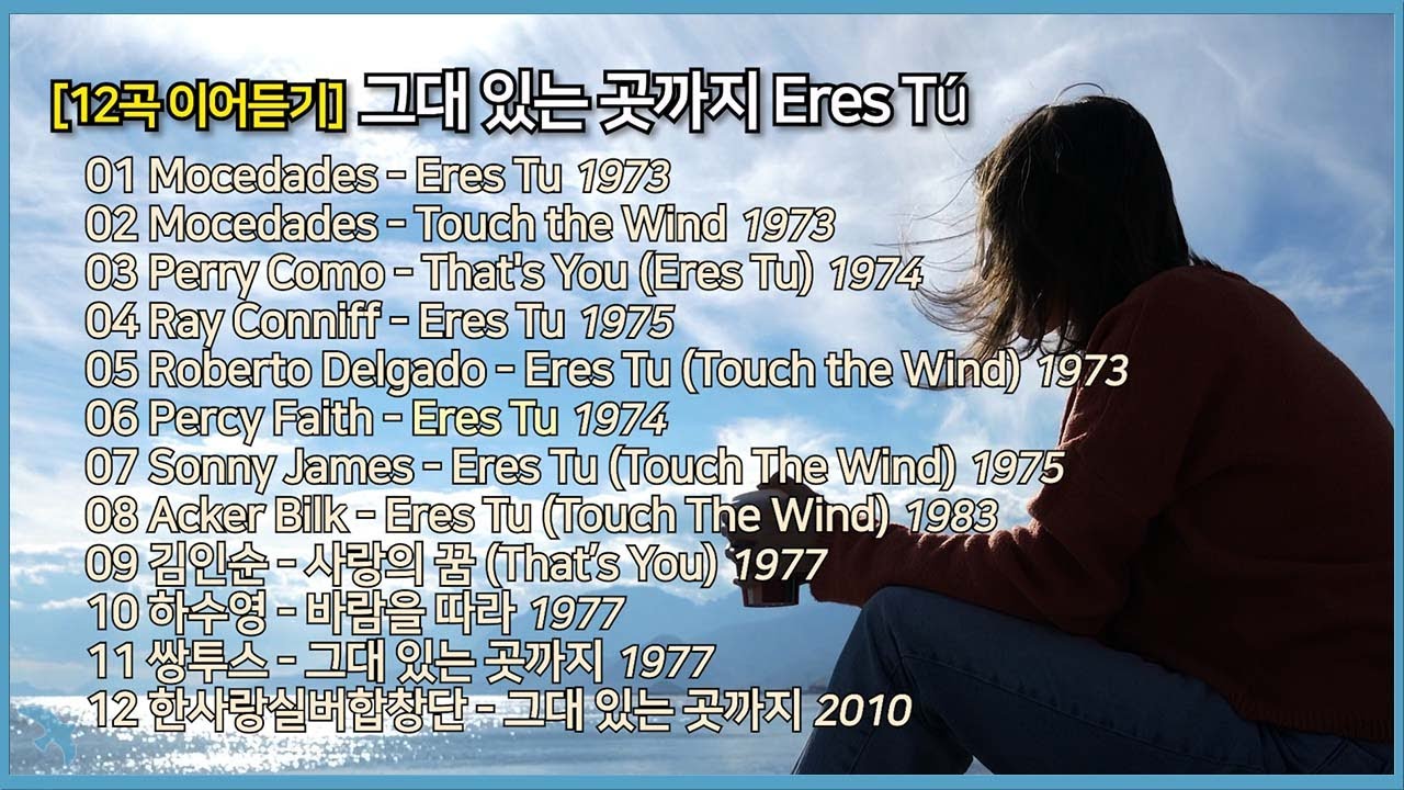 [12곡 이어듣기] 그대 있는 곳까지 Eres Tú(Touch the Wind)(That's You)