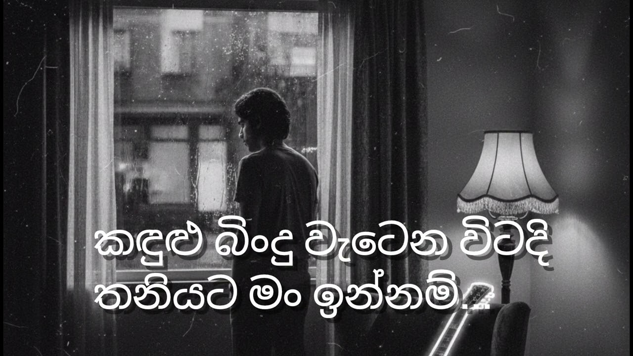 තනි වෙන්නට මගේ ලොවේ - Thani Wennata Mage Lowe | Virtual Beats SL (Lyrics Video)