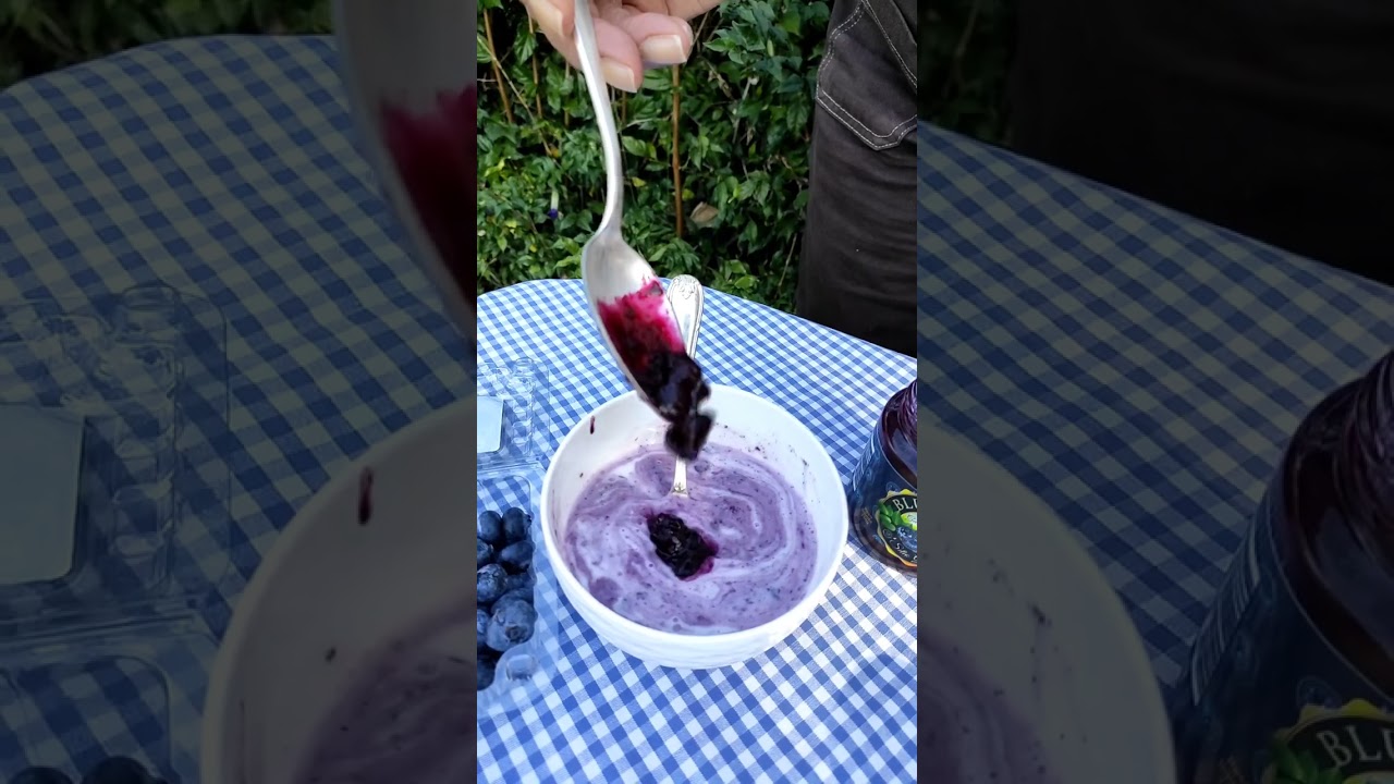 Geleia 100% fruta de Mirtilo Blueberry 250g