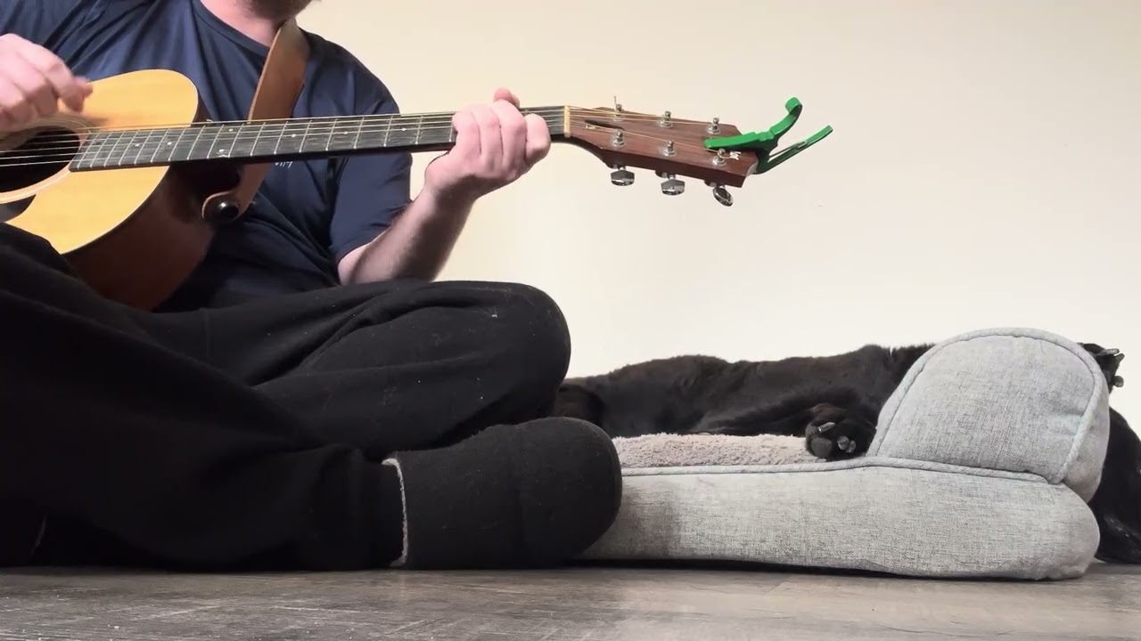 Playing “Ghosts” for my dog Jasper