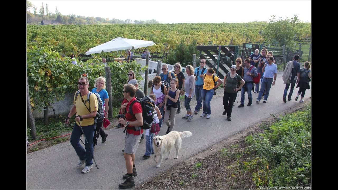 weinwandern 2014