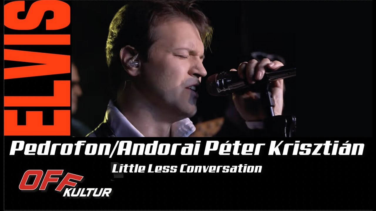 Andorai Péter Krisztián | Little Less Conversation | Pedrofon feat.