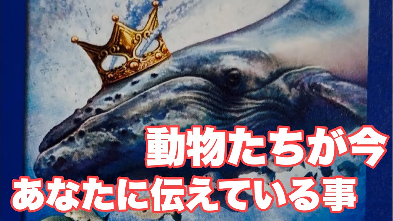 【動物たちは宇宙のスピリット！いや、ガチで】