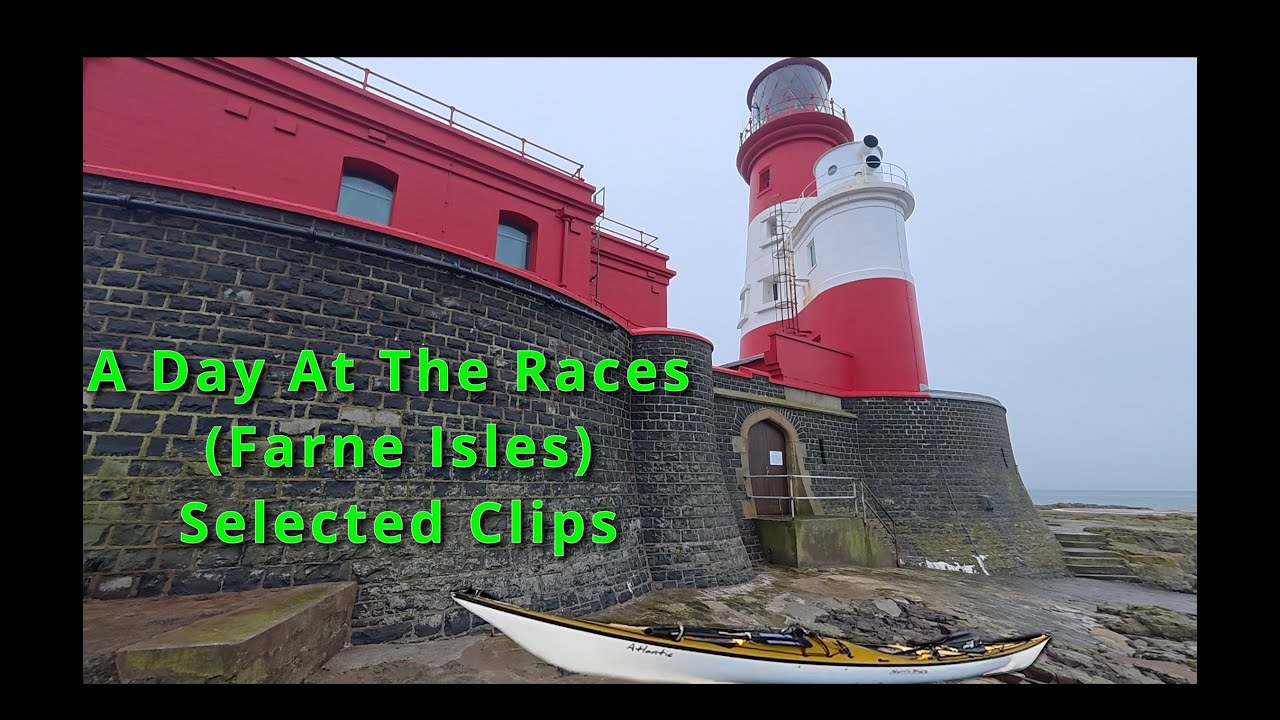 Day At The Races around The Farne Isles