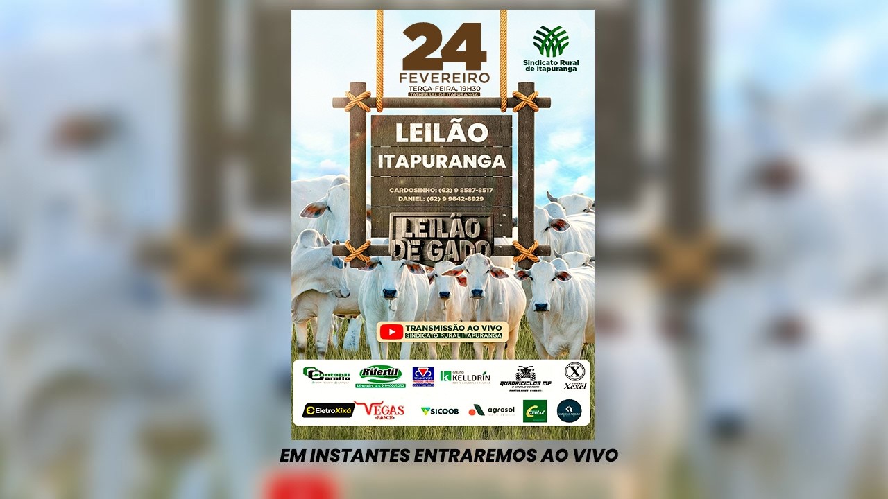 Leilão do Sindicato Rural de Itapuranga -24/02/2026 | Leilão ao Vivo - Leilão de Gado