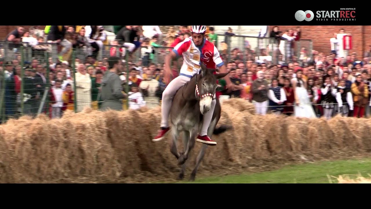 Palio dei Micci 2015 - Trailer
