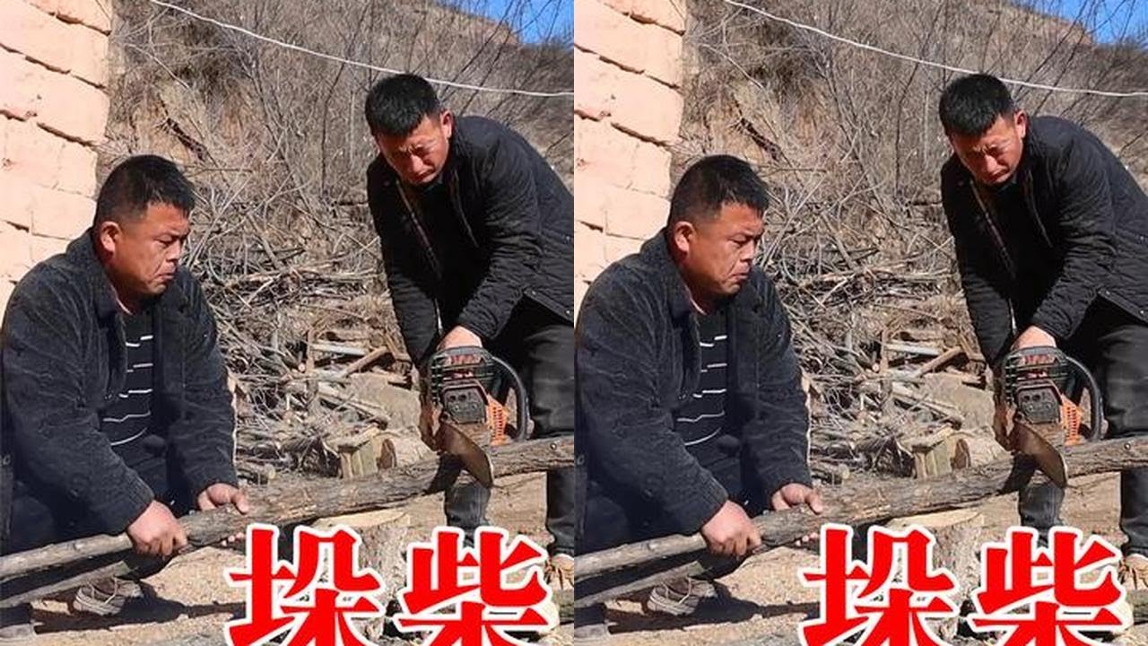 陕北农村的冬天太费柴，兄弟俩一下垛起一墙，这下不愁了！ #我的乡村生活 #垛柴