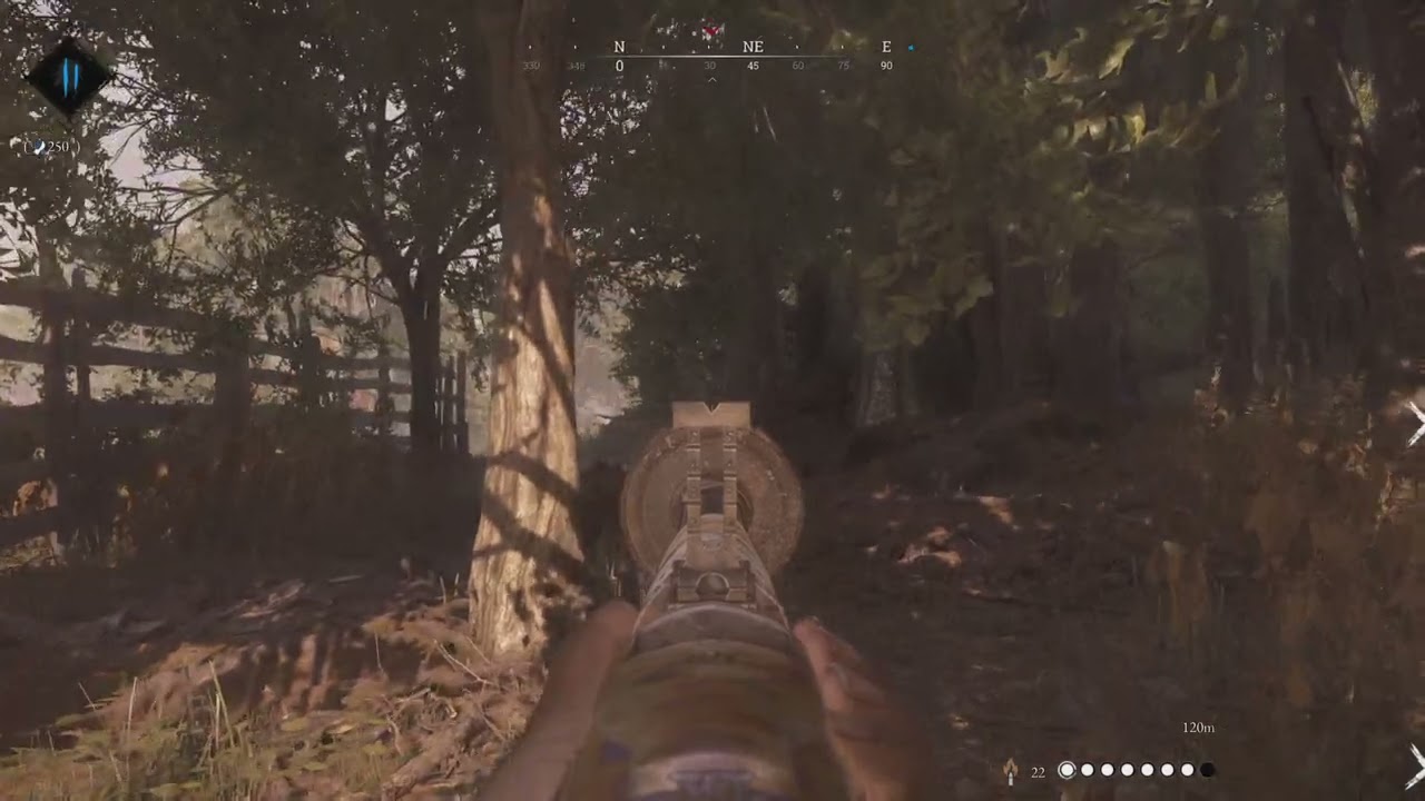 HUNT: SHOWDOWN 1896_gg