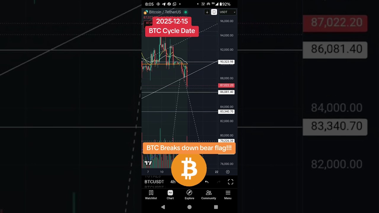 BTC Cycle & Bear flag update