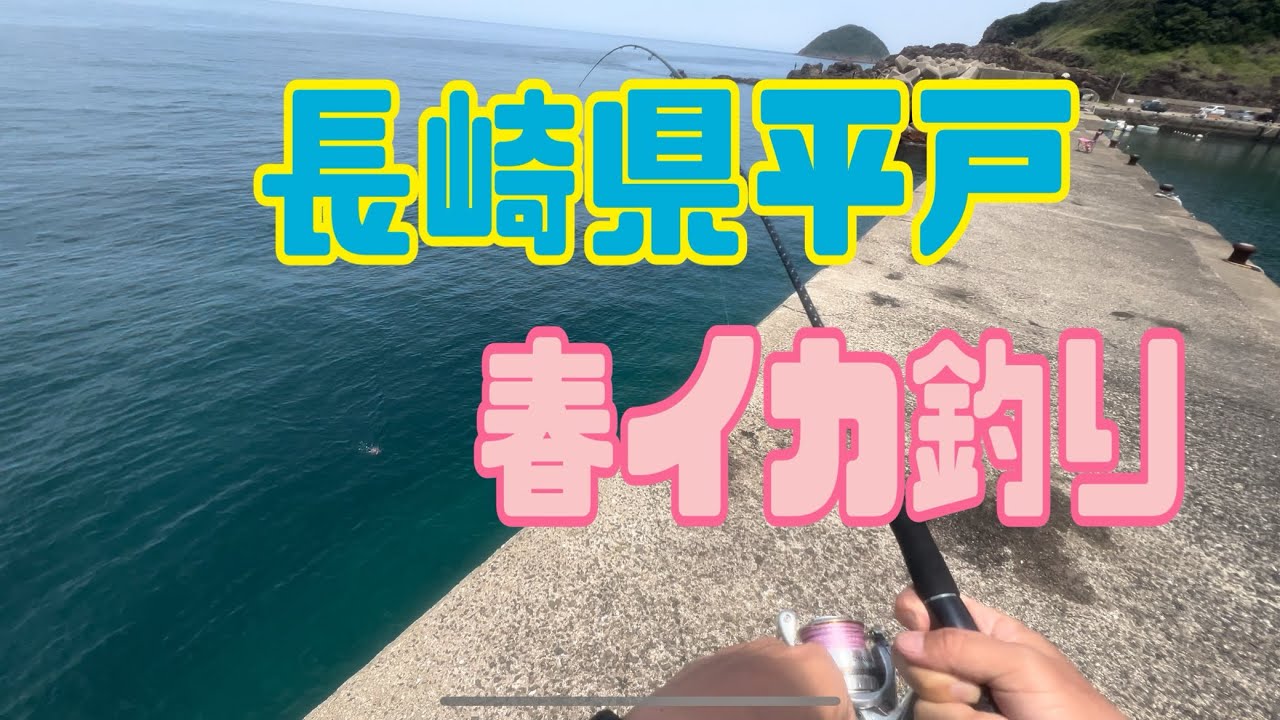 春のデカイカ求めて長崎県平戸エギング🐴