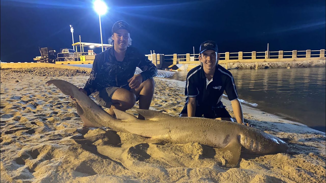 BIG SHARKS!!! Land Based Shark Fishing Nhulunbuy, East Arnhem Land, Northern Territory, Australia!