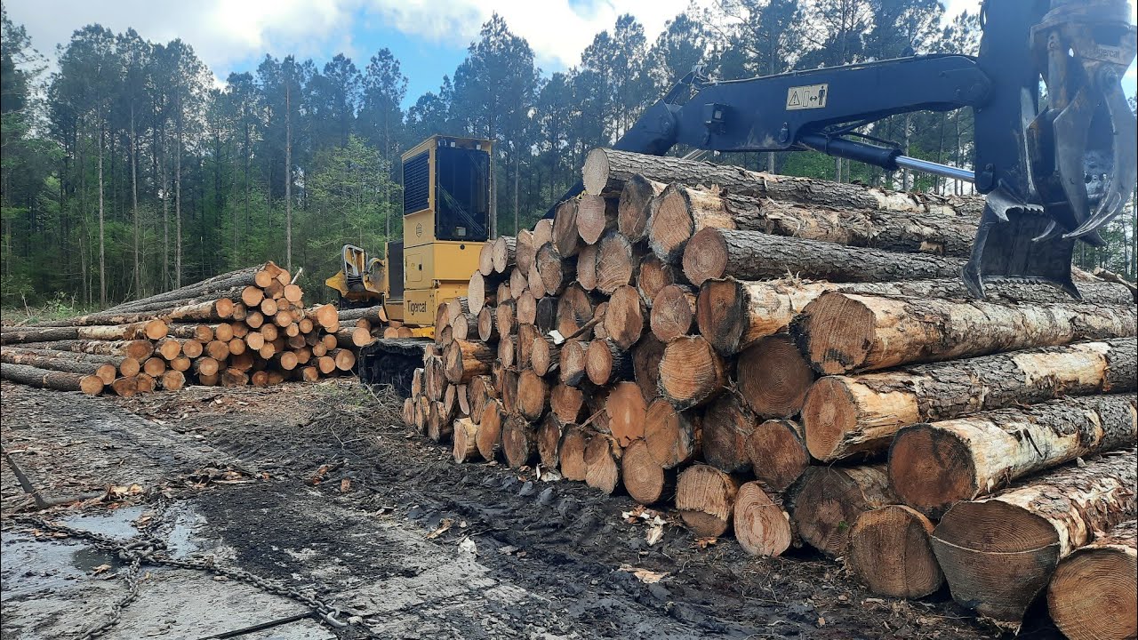 Heavy Equipment Logging Operation